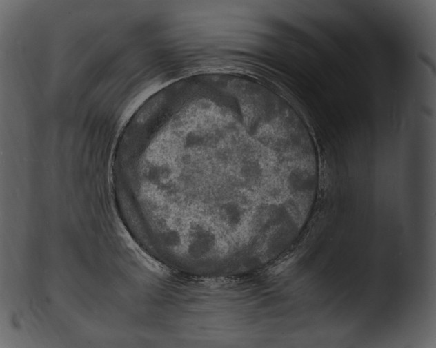 X0000103250803200809251350