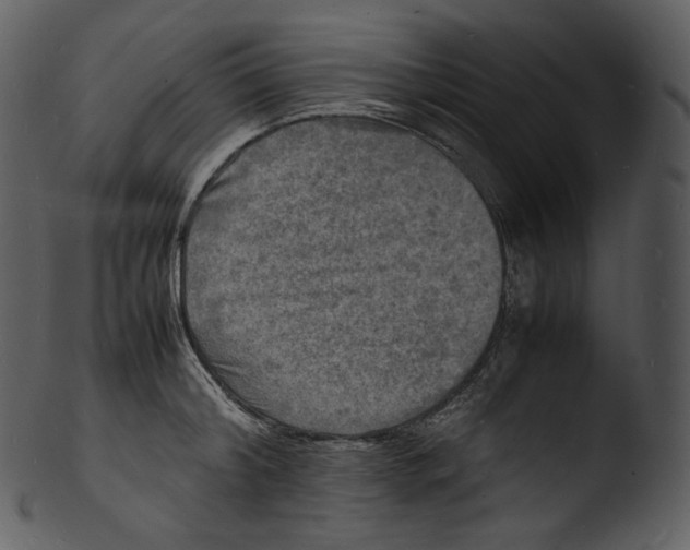 X0000103250804200809251350