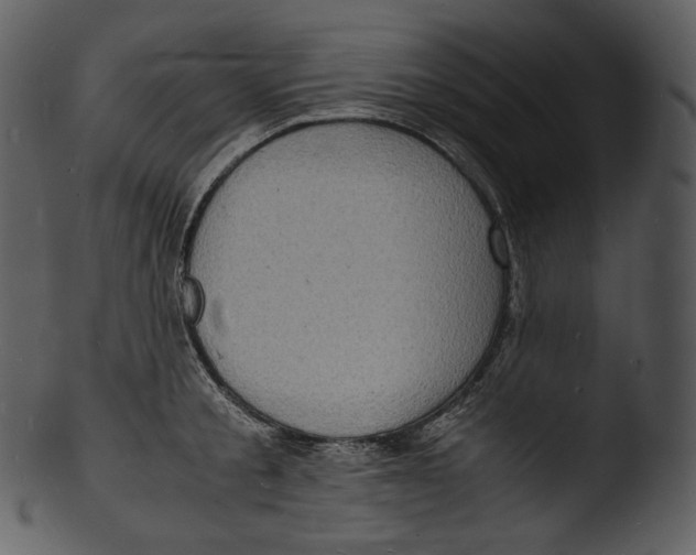 X0000103250805200809251349