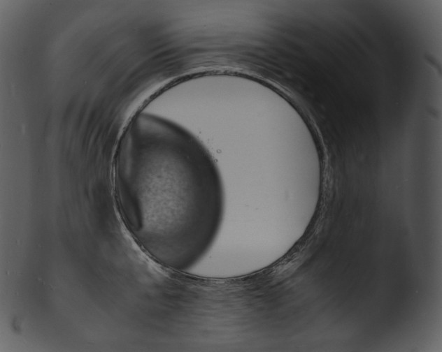X0000103250807200809251349