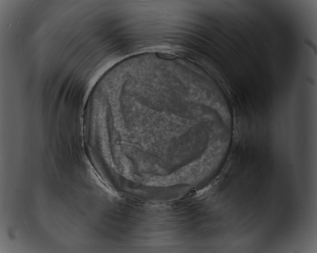 X0000103250808200809251349