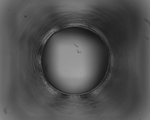 X0000103250809200809251349