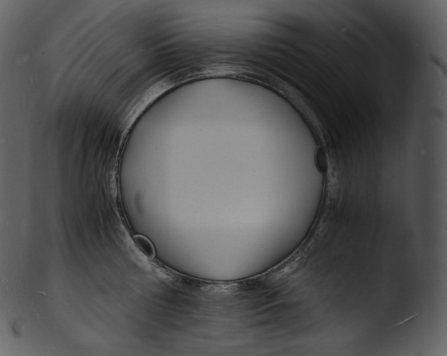 X0000103250810200809251349
