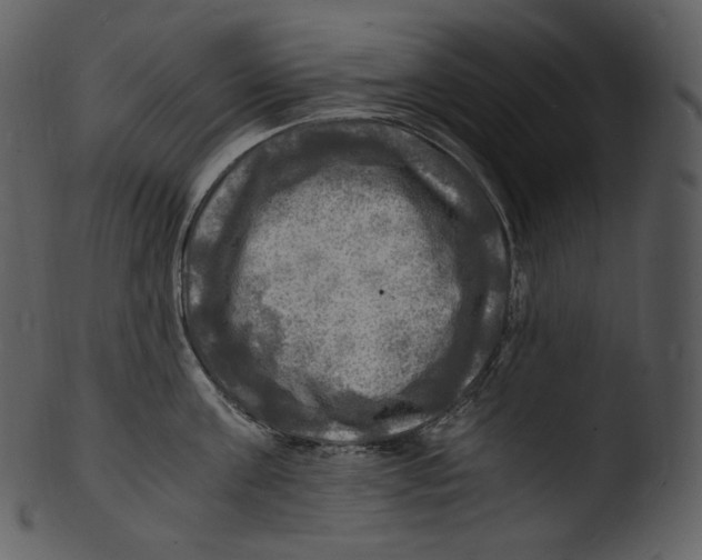 X0000103250811200809251349