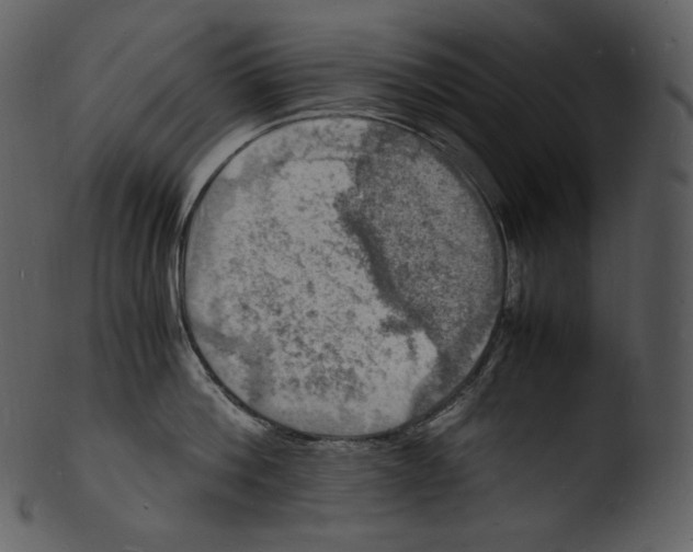 X0000103250812200809251349