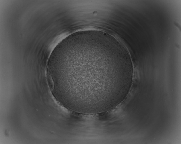 X0000103250813200809251349