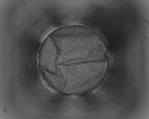 X0000103250814200809251349