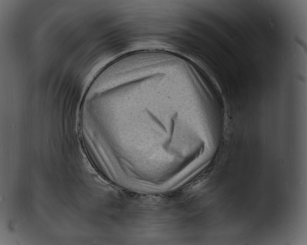 X0000103250815200809251349
