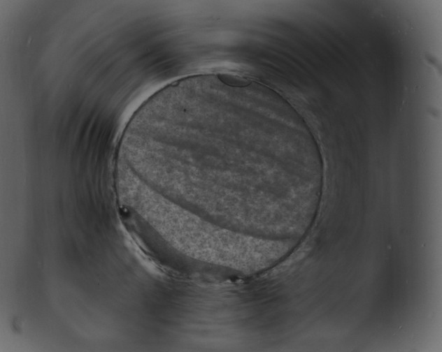 X0000103250816200809251349