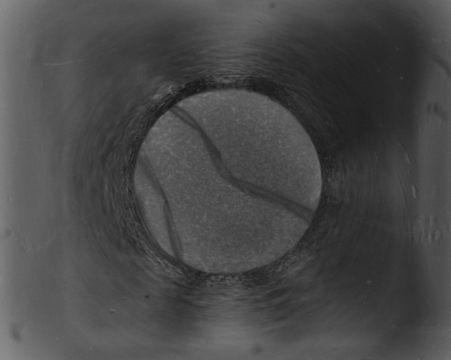 X0000103250817200809251349