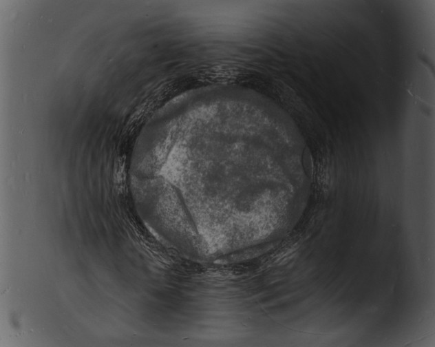 X0000103250818200809251349