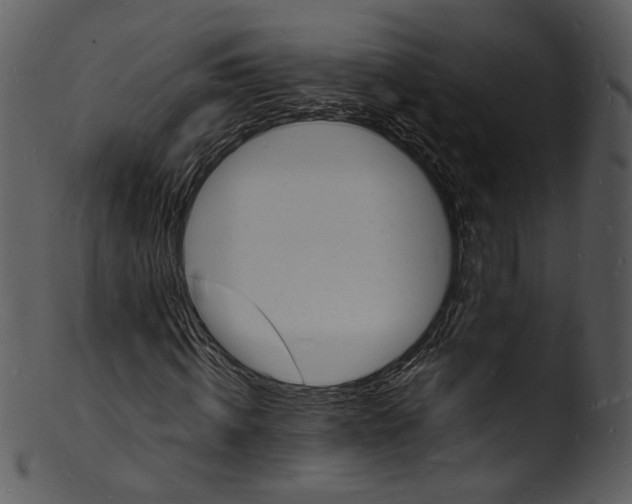 X0000103250820200809251349