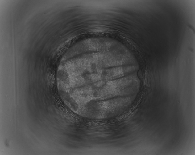 X0000103250821200809251349