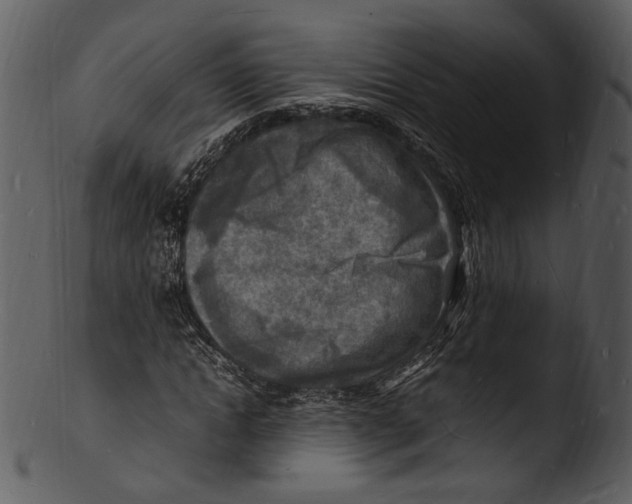 X0000103250822200809251349