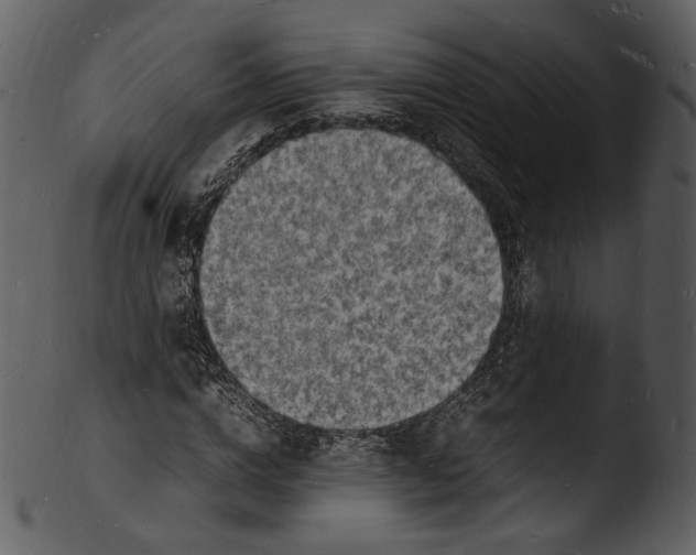 X0000103250824200809251349