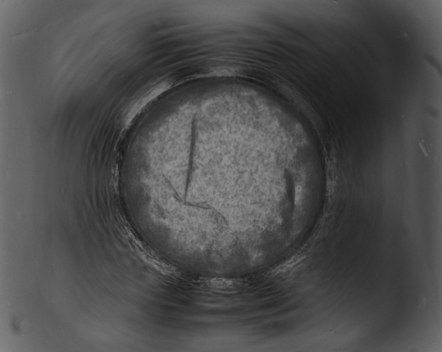 X0000103250827200809251349