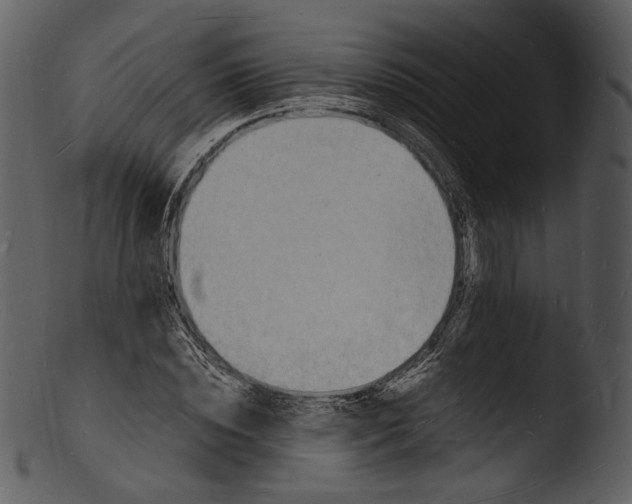 X0000103250828200809251349