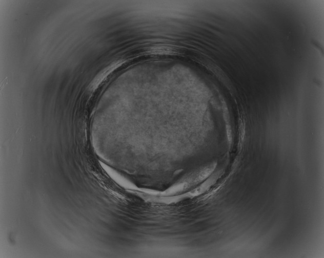 X0000103250829200809251349