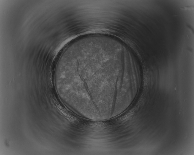 X0000103250830200809251349
