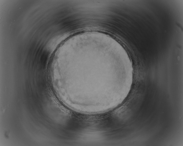 X0000103250832200809251349