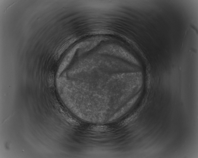 X0000103250833200809251349