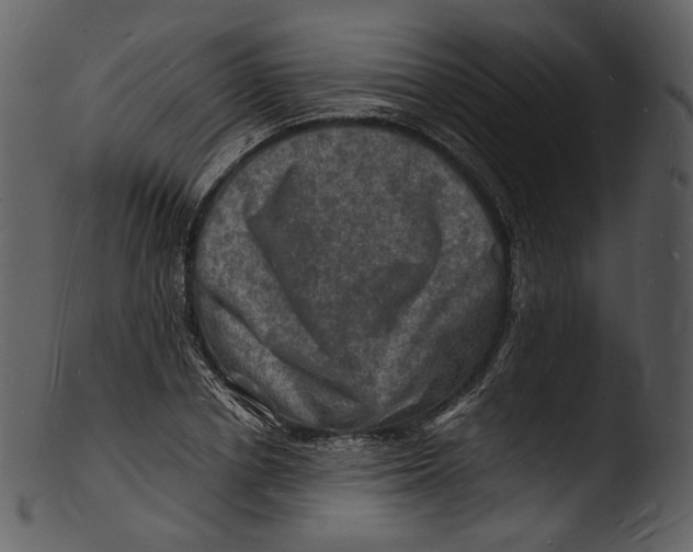 X0000103250834200809251349