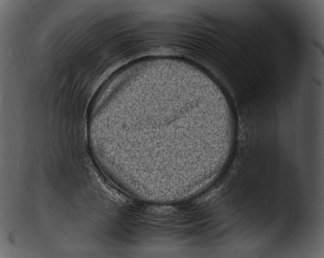 X0000103250837200809251349