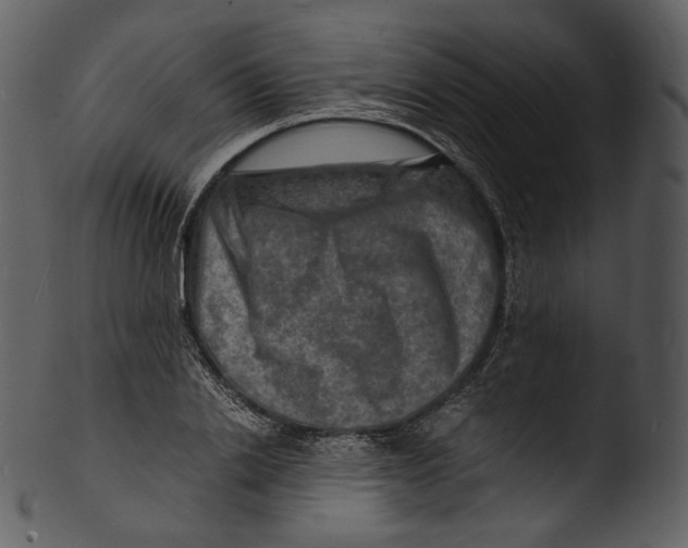 X0000103250838200809251349