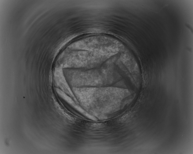 X0000103250839200809251349