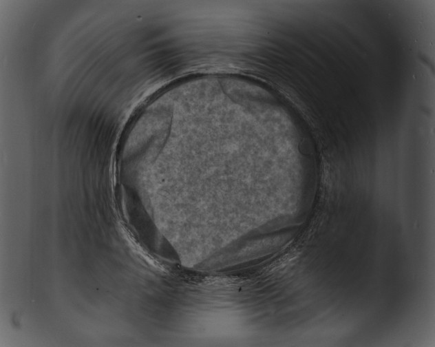 X0000103250840200809251349