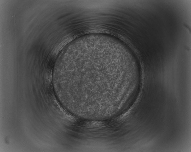 X0000103250841200809251349