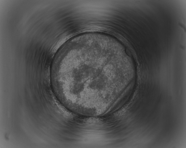 X0000103250842200809251349