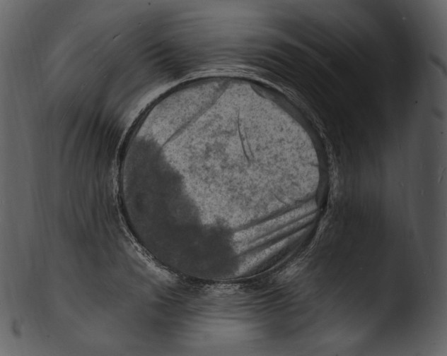 X0000103250846200809251349