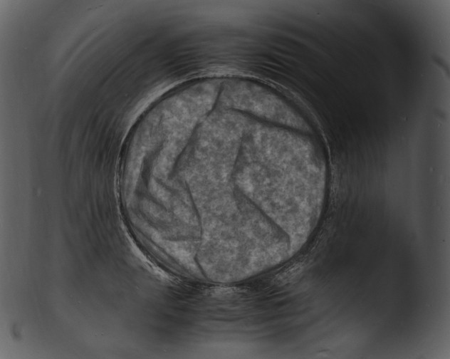X0000103250847200809251349