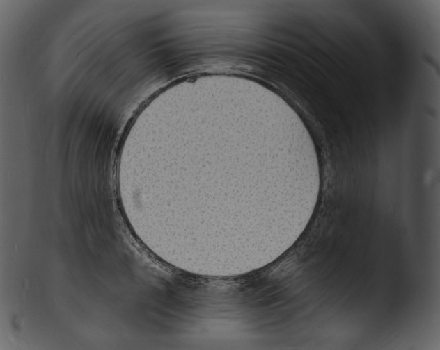 X0000103250848200809251349