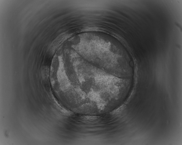 X0000103250849200809251349
