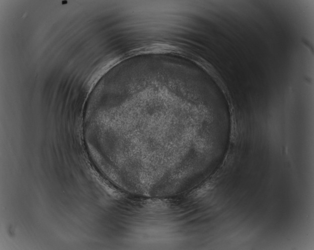 X0000103250850200809251349