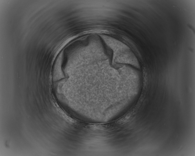 X0000103250852200809251349