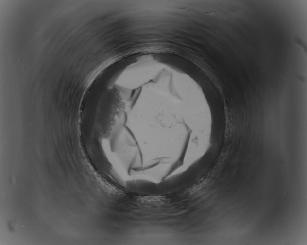 X0000103250853200809251349