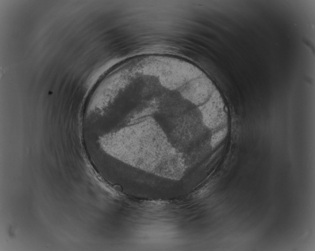 X0000103250854200809251349