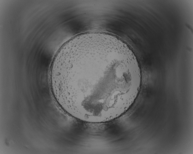 X0000103250856200809251349