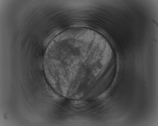 X0000103250857200809251349