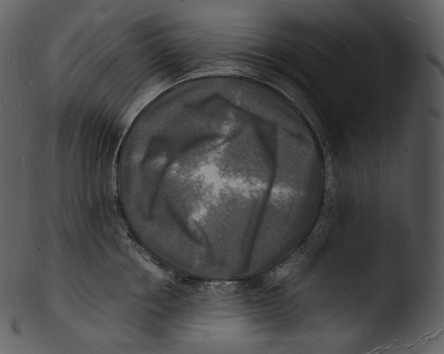 X0000103250858200809251349