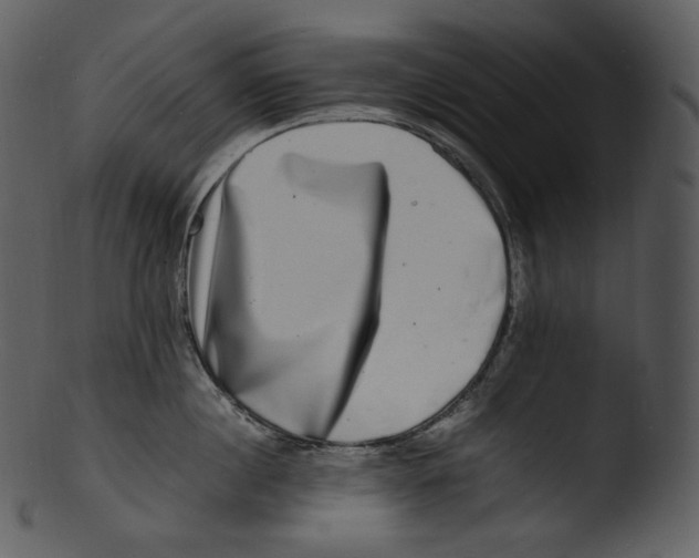X0000103250860200809251349