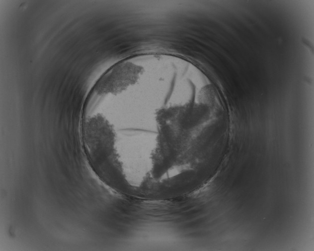 X0000103250863200809251349