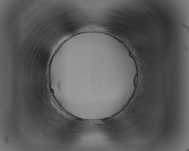 X0000103250864200809251349