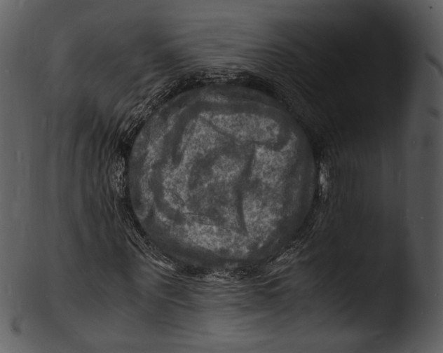 X0000103250867200809251349