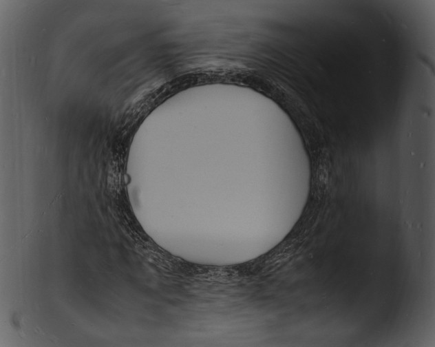 X0000103250869200809251349