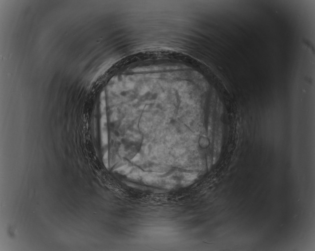 X0000103250871200809251349