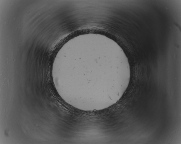 X0000103250872200809251349